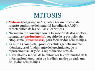 Libreta Digital: Mitosis/ Presentación PowerPoint: Mitosis