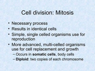 Cell division: Mitosis
• Necessary process
• Results in identical cells
• Simple, single celled organisms use for
reproduction
• More advanced, multi-celled organisms
use for cell replacement and growth
– Occurs in somatic cells, body cells
– Diploid: two copies of each chromosome
 