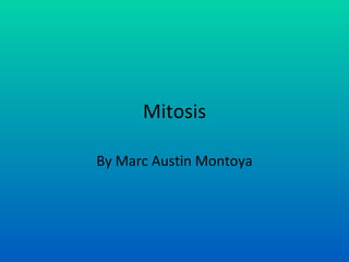 Mitosis

By Marc Austin Montoya
 