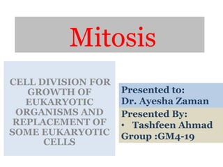 Mitosis
CELL DIVISION FOR
GROWTH OF
EUKARYOTIC
ORGANISMS AND
REPLACEMENT OF
SOME EUKARYOTIC
CELLS
Presented By:
• Tashfeen Ahmad
Group :GM4-19
Presented to:
Dr. Ayesha Zaman
 