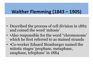 Walther Flemming (1843 – 1905)
• Described the process of cell division in 1882
and coined the word ‘mitosis’
• •Also resp...