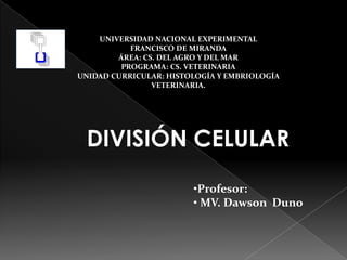 UNIVERSIDAD NACIONAL EXPERIMENTAL
           FRANCISCO DE MIRANDA
        ÁREA: CS. DEL AGRO Y DEL MAR
         PROGRAMA: CS. VETERINARIA
UNIDAD CURRICULAR: HISTOLOGÍA Y EMBRIOLOGÍA
                VETERINARIA.




 DIVISIÓN CELULAR
                        •Profesor:
                        • MV. Dawson Duno
 