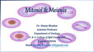 Mitosis & Meiosis
Dr. Manju Bhaskar
Assistant Professor
Department of Zoology
D. B. S. College (CSJM University)
Kanpur 208006
Email: drmanjubhaskar19@gmail.com
 
