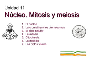 Unidad 11
Núcleo. Mitosis y meiosisNúcleo. Mitosis y meiosis
1. El núcleo
2. La cromatina y los cromosomas
3. El ciclo celular
4. La mitosis
5. Citocinesis
6. La meiosis
7. Los ciclos vitales
 