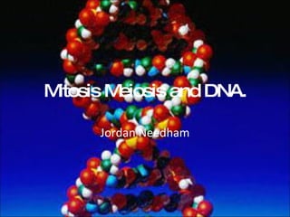Mitosis Meiosis and DNA. Jordan Needham 
