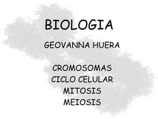 BIOLOGIA
GEOVANNA HUERA
CROMOSOMAS
CICLO CELULAR
MITOSIS
MEIOSIS
 