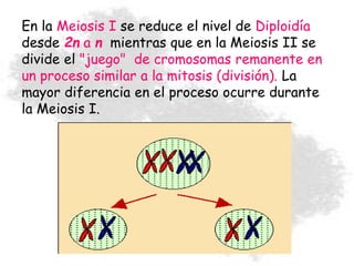 En la Meiosis I se reduce el nivel de Diploidía
desde 2n a n mientras que en la Meiosis II se
divide el "juego" de cromosomas remanente en
un proceso similar a la mitosis (división). La
mayor diferencia en el proceso ocurre durante
la Meiosis I.
 