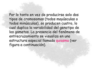 Por lo tanto en vez de producirse solo dos
tipos de cromosomas (todos mayúsculas o
todos minúsculas), se producen cuatro, lo
cual duplica la variabilidad del genotipo de
los gametos. La presencia del fenómeno de
entrecruzamiento se visualiza en una
estructura especial llamada quiasma (ver
figura a continuación).
 