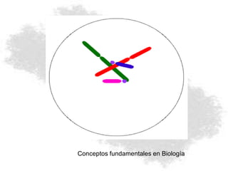 Conceptos fundamentales en Biología
 