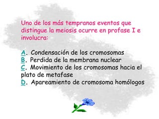 Uno de los más tempranos eventos que
distingue la meiosis ocurre en profase I e
involucra:
A. Condensación de los cromosomas
B. Perdida de la membrana nuclear
C. Movimiento de los cromosomas hacia el
plato de metafase
D. Apareamiento de cromosoma homólogos
 