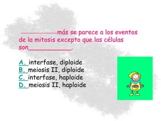 ---------------------------más se parece a los eventos
de la mitosis excepto que las células
son___________.
A. interfase, diploide
B. meiosis II, diploide
C. interfase, haploide
D. meiosis II, haploide
 