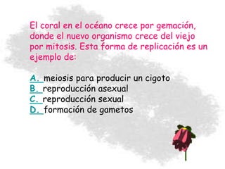 El coral en el océano crece por gemación,
donde el nuevo organismo crece del viejo
por mitosis. Esta forma de replicación es un
ejemplo de:
A. meiosis para producir un cigoto
B. reproducción asexual
C. reproducción sexual
D. formación de gametos
 