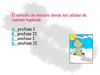 El estadío de meiosis donde las células de
vuelven haploide.
A. profase I
B. profase II
C. anafase I
D. anafase II
 