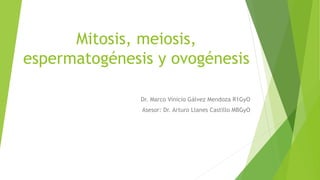 Mitosis, meiosis,
espermatogénesis y ovogénesis
Dr. Marco Vinicio Gálvez Mendoza R1GyO
Asesor: Dr. Arturo Llanes Castillo MBGyO
 