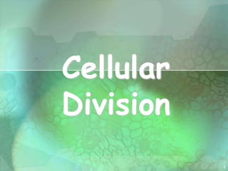1
Cellular
Division
 