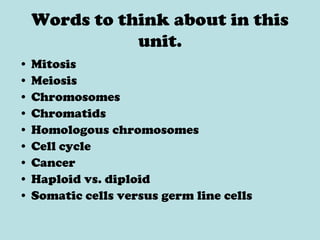 Words to think about in this unit. Mitosis Meiosis Chromosomes Chromatids Homologous chromosomes Cell cycle Cancer Haploid vs. diploid Somatic cells versus germ line cells 