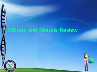 Mitosis and Meiosis Review 