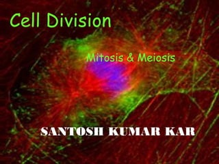 Cell Division
Mitosis & Meiosis
SANTOSH KUMAR KAR
 