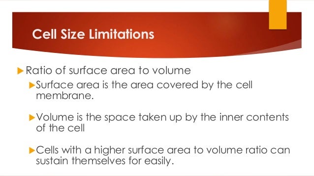 cell growth and mitosis why is there a limit on cell size
