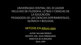 UNIVERSIDAD CENTRAL DEL ECUADOR
FACULTAD DE FILOSOFIA, LETRAS Y CIENCIAS DE
LA EDUCACIÓN
PEDAGOGÍA DE LAS CIENCIAS EXPERIMENTALES,
QUÍMICA Y BIOLOGÍA
AUTOR: WILLIAM OROZCO
DOCENTE: MSc. SILVIA IMBAQUINGO
DIDÁCTICA DE LA BIOLOGÍA
Quito, 2020
MITOSIS EN Allium cepa
 