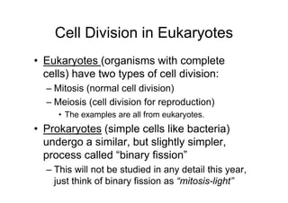Cell Division in Eukaryotes
• Eukaryotes (organisms with complete
  cells) have two types of cell division:
  – Mitosis (normal cell division)
  – Meiosis (cell division for reproduction)
     • The examples are all from eukaryotes.
• Prokaryotes (simple cells like bacteria)
  undergo a similar, but slightly simpler,
  process called “binary fission”
  – This will not be studied in any detail this year,
    just think of binary fission as “mitosis-light”
 