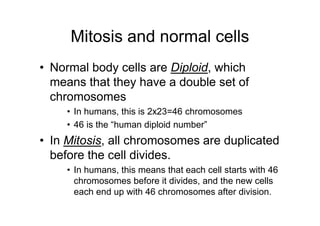 Mitosis and normal cells
• Normal body cells are Diploid, which
  means that they have a double set of
  chromosomes
     • In humans, this is 2x23=46 chromosomes
     • 46 is the “human diploid number”
• In Mitosis, all chromosomes are duplicated
  before the cell divides.
     • In humans, this means that each cell starts with 46
       chromosomes before it divides, and the new cells
       each end up with 46 chromosomes after division.
 