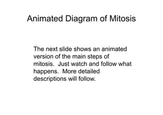 Animated Diagram of Mitosis


 The next slide shows an animated
 version of the main steps of
 mitosis. Just watch and follow what
 happens. More detailed
 descriptions will follow.
 