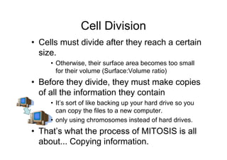 Cell Division
• Cells must divide after they reach a certain
  size.
     • Otherwise, their surface area becomes too small
       for their volume (Surface:Volume ratio)
• Before they divide, they must make copies
  of all the information they contain
     • It’s sort of like backing up your hard drive so you
       can copy the files to a new computer.
     • only using chromosomes instead of hard drives.
• That’s what the process of MITOSIS is all
  about... Copying information.
 
