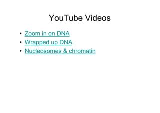 YouTube Videos
• Zoom in on DNA
• Wrapped up DNA
• Nucleosomes & chromatin
 
