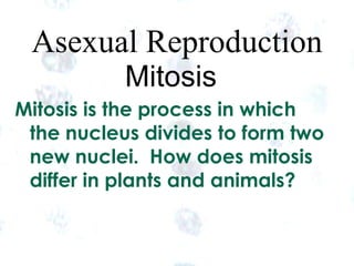 1 1
Asexual Reproduction
Mitosis
Mitosis is the process in which
the nucleus divides to form two
new nuclei. How does mitosis
differ in plants and animals?
 
