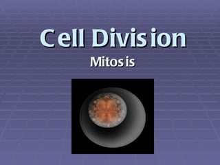 Cell DivisionCell Division
MitosisMitosis
 