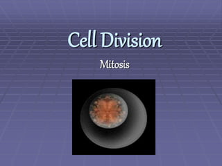 mitosispowerpoint-120120121549-phpapp01.ppt