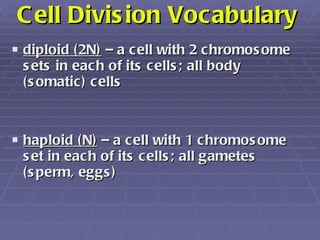 Cell Division Vocabulary <ul><li>diploid (2N)  – a cell with 2 chromosome sets in each of its cells; all body (somatic) ce...