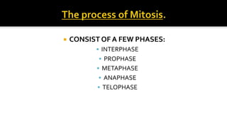 

CONSIST OF A FEW PHASES:
 INTERPHASE
 PROPHASE

 METAPHASE
 ANAPHASE
 TELOPHASE

 
