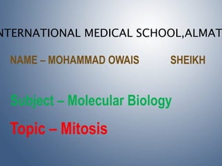 NTERNATIONAL MEDICAL SCHOOL,ALMAT
NAME – MOHAMMAD OWAIS SHEIKH
Topic – Mitosis
Subject – Molecular Biology
 