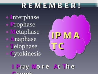 REMEMBER! I nterphase P rophase M etaphase A naphase T elophase C ytokinesis I   P ray   M ore  A t   T he  C hurch IPMATC 