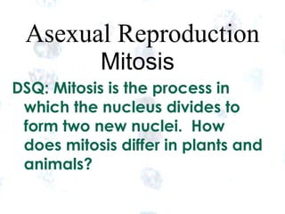 Asexual Reproduction
Mitosis
DSQ: Mitosis is the process in
which the nucleus divides to
form two new nuclei. How
does mitosis differ in plants and
animals?
1

1

 