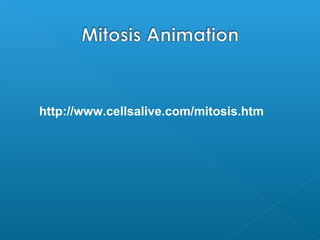 Animal Mitosis -- Review
Interphase Prophase
Metaphase Anaphase
Telophase Interphase
 