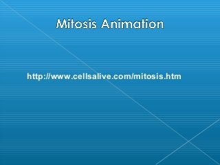 http://www.cellsalive.com/mitosis.htm
 