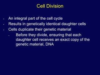 Mitosis ppt | PPTX | Biological Sciences | Science