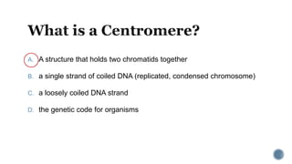 A. A structure that holds two chromatids together
B. a single strand of coiled DNA (replicated, condensed chromosome)
C. a loosely coiled DNA strand
D. the genetic code for organisms
 