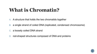 A. A structure that holds the two chromatids together
B. a single strand of coiled DNA (replicated, condensed chromosome)
C. a loosely coiled DNA strand
D. rod-shaped structures composed of DNA and proteins
 