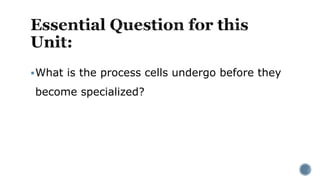 What is the process cells undergo before they
become specialized?
 