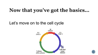 Let’s move on to the cell cycle
 