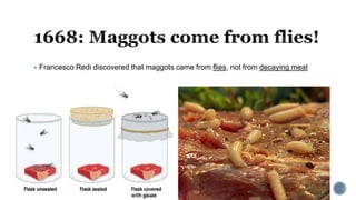  Francesco Redi discovered that maggots came from flies, not from decaying meat
 