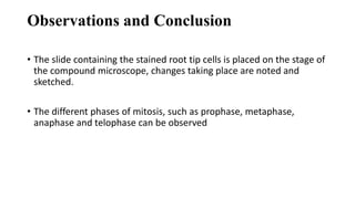 Observations and Conclusion
• The slide containing the stained root tip cells is placed on the stage of
the compound microscope, changes taking place are noted and
sketched.
• The different phases of mitosis, such as prophase, metaphase,
anaphase and telophase can be observed
 