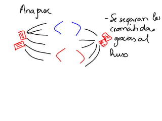 Mitosis presentación