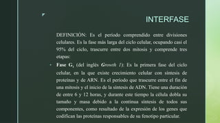 z
INTERFASE
DEFINICIÓN: Es el período comprendido entre divisiones
celulares. Es la fase más larga del ciclo celular, ocupando casi el
95% del ciclo, trascurre entre dos mitosis y comprende tres
etapas:
• Fase G1 (del inglés Growth 1): Es la primera fase del ciclo
celular, en la que existe crecimiento celular con síntesis de
proteínas y de ARN. Es el período que trascurre entre el fin de
una mitosis y el inicio de la síntesis de ADN. Tiene una duración
de entre 6 y 12 horas, y durante este tiempo la célula dobla su
tamaño y masa debido a la continua síntesis de todos sus
componentes, como resultado de la expresión de los genes que
codifican las proteínas responsables de su fenotipo particular.
 