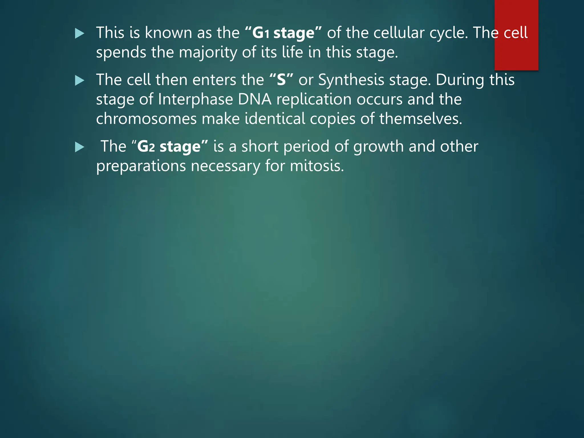  This is known as the “G1 stage” of the cellular cycle. The cell
spends the majority of its life in this stage.
 The cell then enters the “S” or Synthesis stage. During this
stage of Interphase DNA replication occurs and the
chromosomes make identical copies of themselves.
 The “G2 stage” is a short period of growth and other
preparations necessary for mitosis.
 