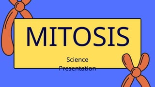 Mitosis Science Presentation in Blue Yellow Flat Graphic Style.pptx
